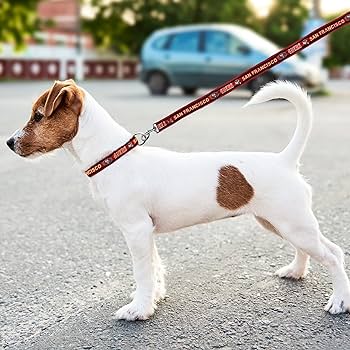 Pet Dog Lead Leash