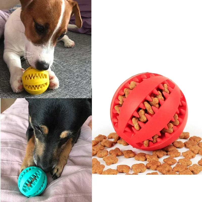 Pet Dog Toy Interactive Rubber Balls