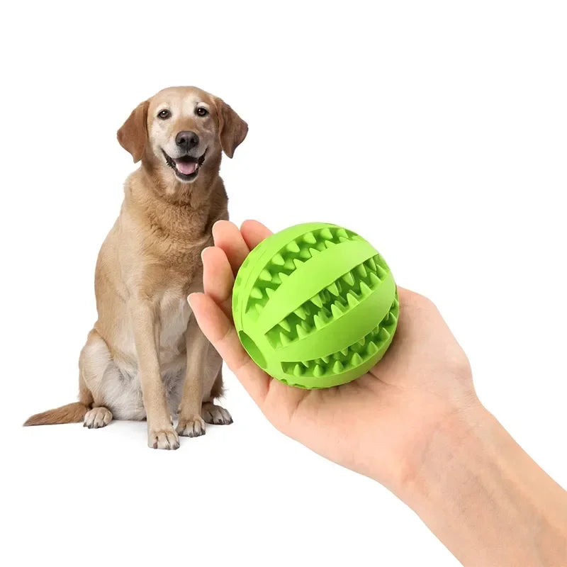 Pet Dog Toy Interactive Rubber Balls