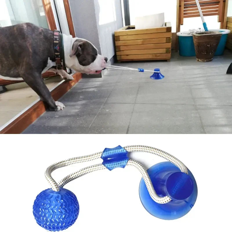 Pet Dog Toy Interactive Rubber Balls