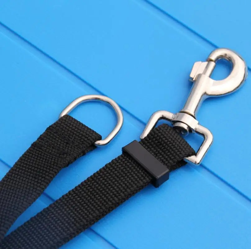 Pet Dog Lead Leash