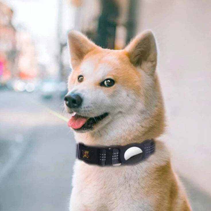 Fashion Dog Collar With Apple AirTag Case