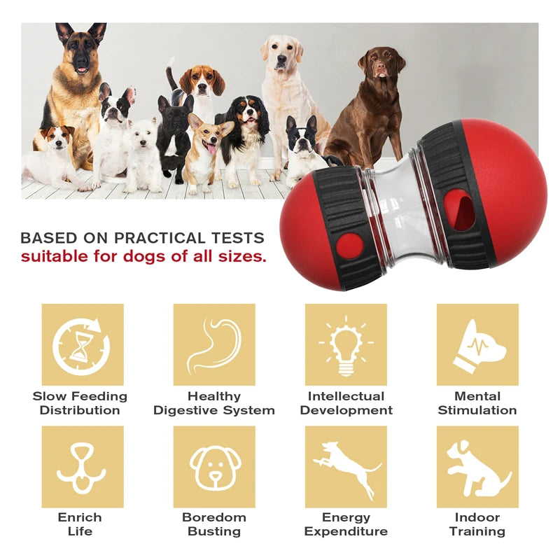 Dog Toys Increase Intelligence Elliptical