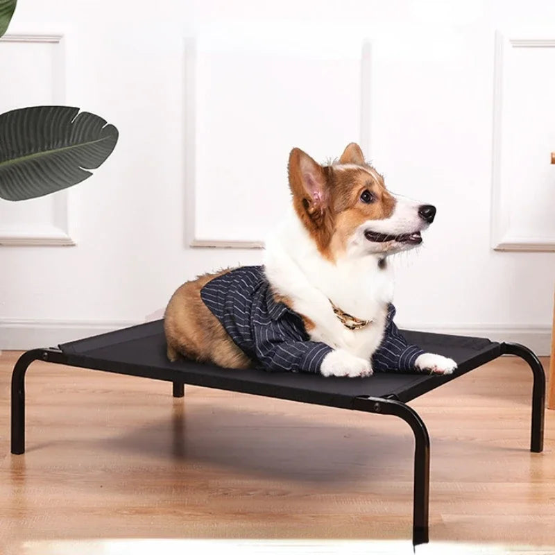 Folding Elevated Pet Bed