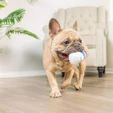 Dog Toys Increase Intelligence Elliptical